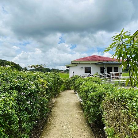 Jazz Ferme Inn Batuan Bohol Екстериор снимка