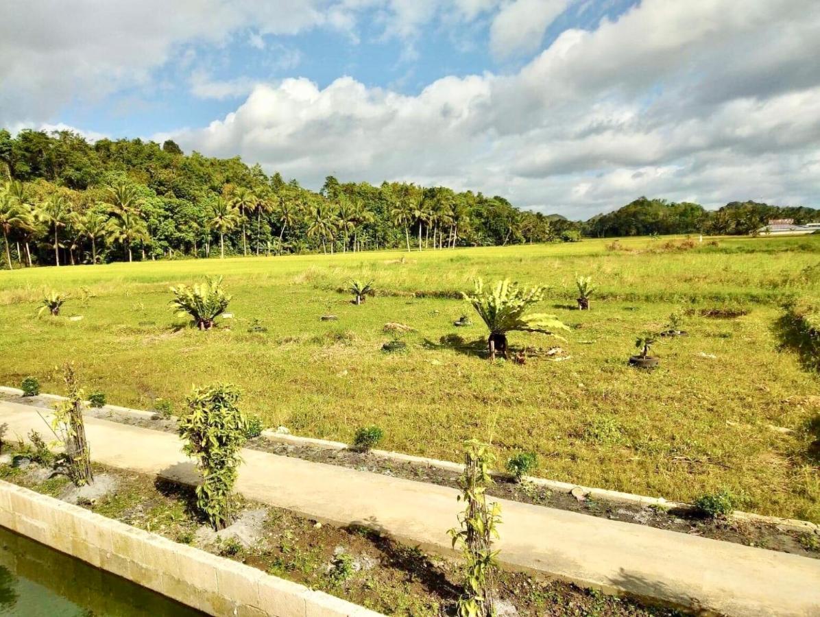 Jazz Ferme Inn Batuan Bohol Екстериор снимка