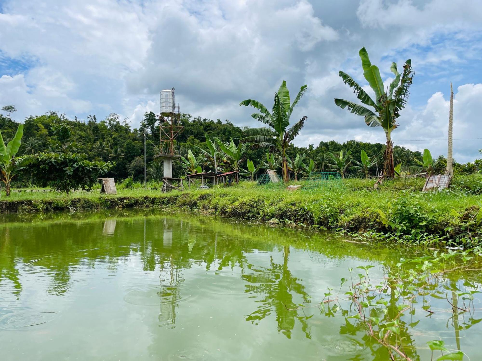 Jazz Ferme Inn Batuan Bohol Екстериор снимка