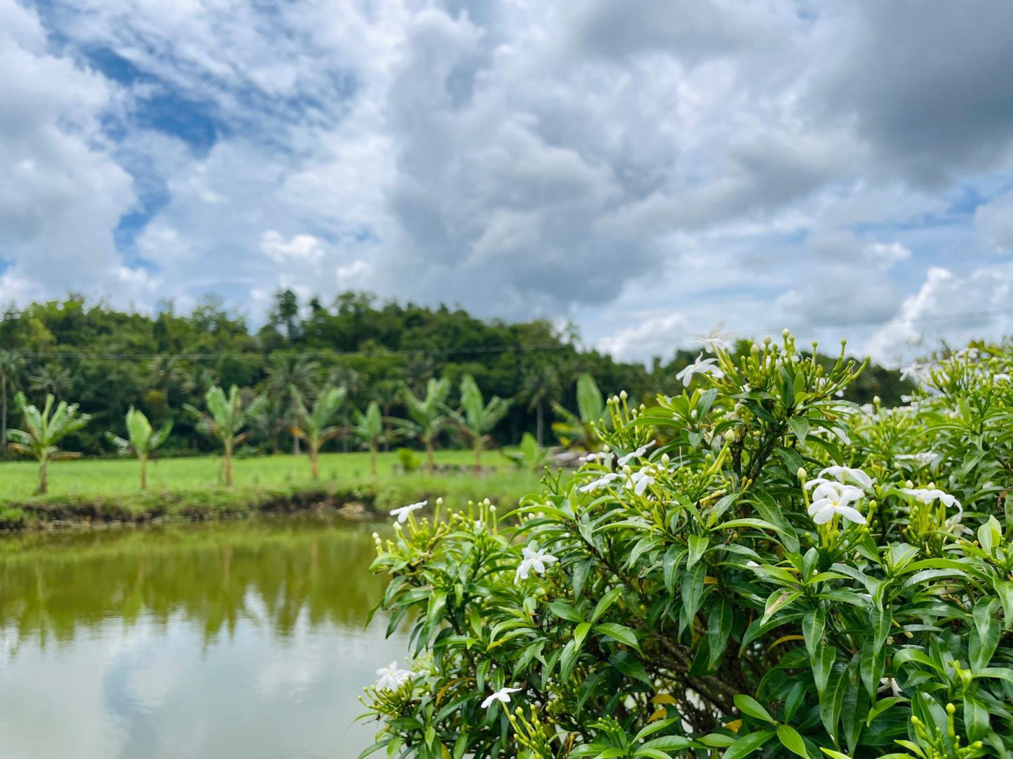 Jazz Ferme Inn Batuan Bohol Екстериор снимка