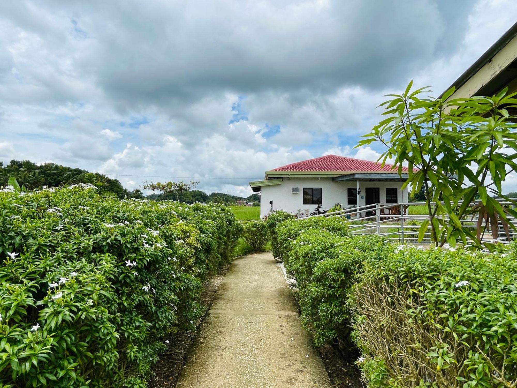 Jazz Ferme Inn Batuan Bohol Екстериор снимка