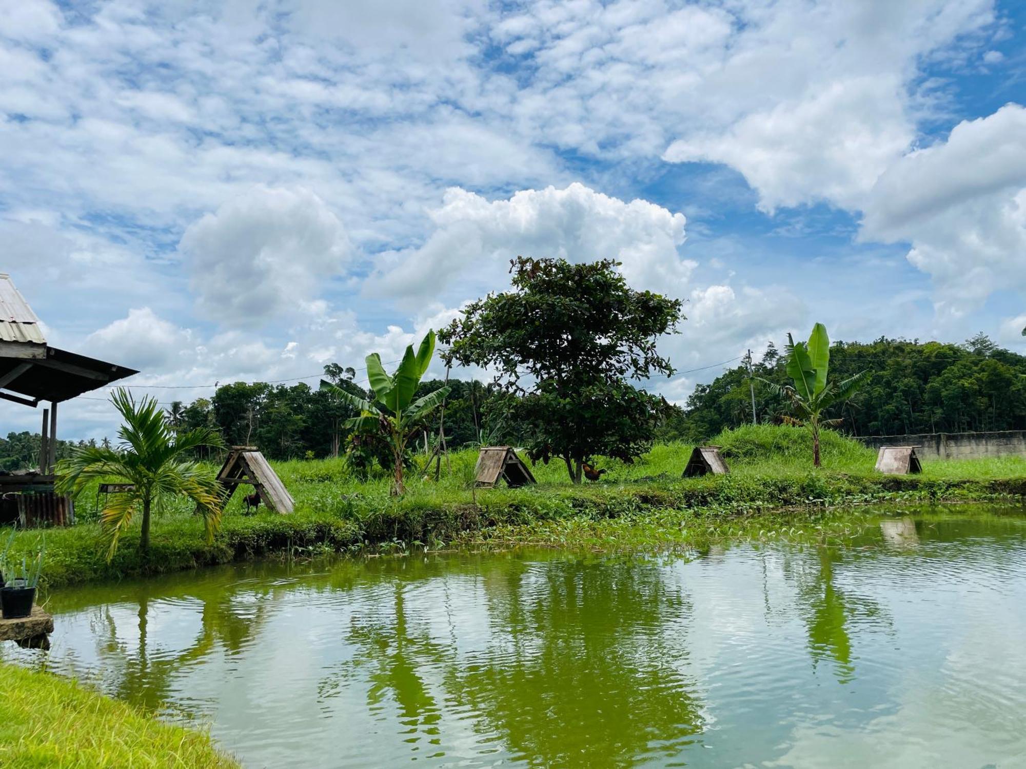 Jazz Ferme Inn Batuan Bohol Екстериор снимка